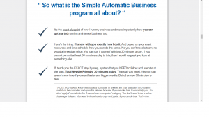 simple automatic business